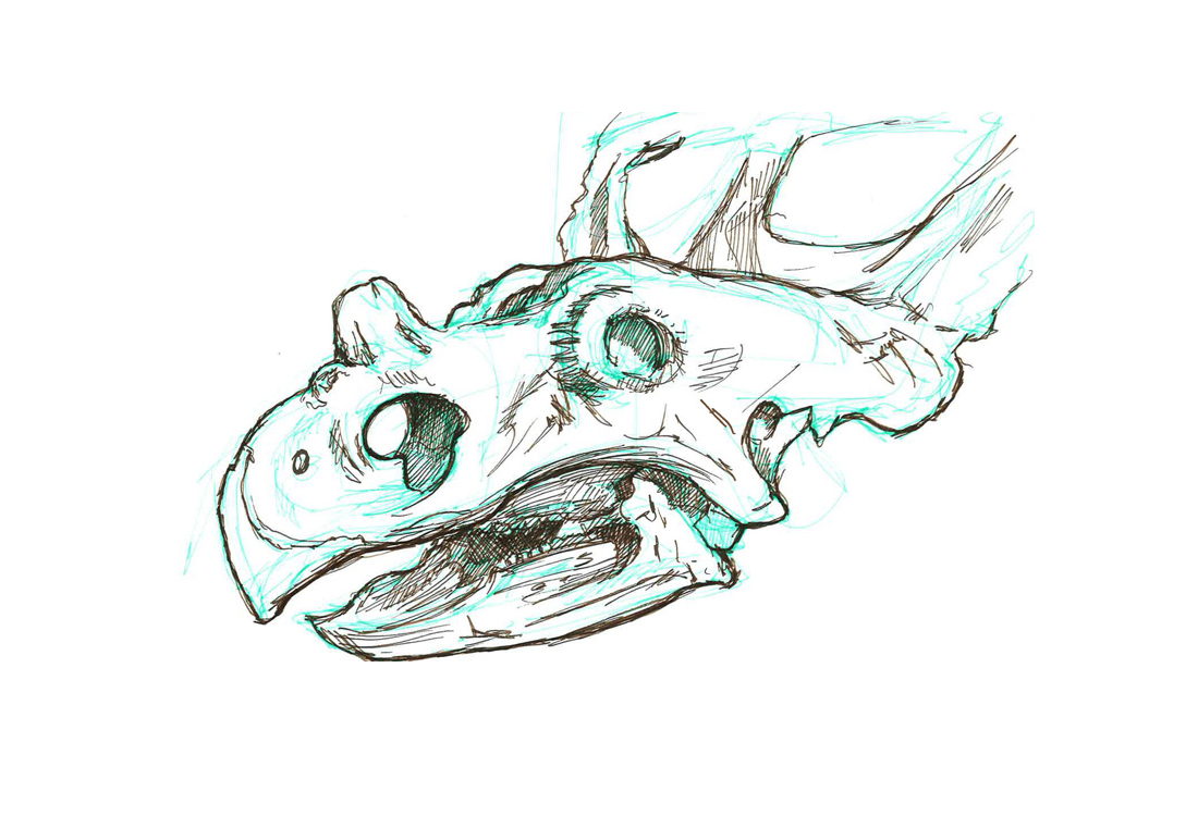 ceratops skull - ink sketch