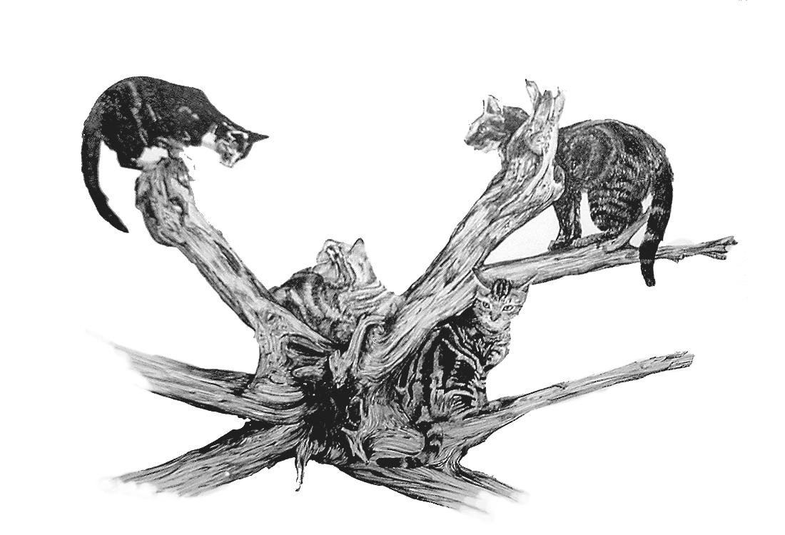 Cat Tree - sketch 1100x750px