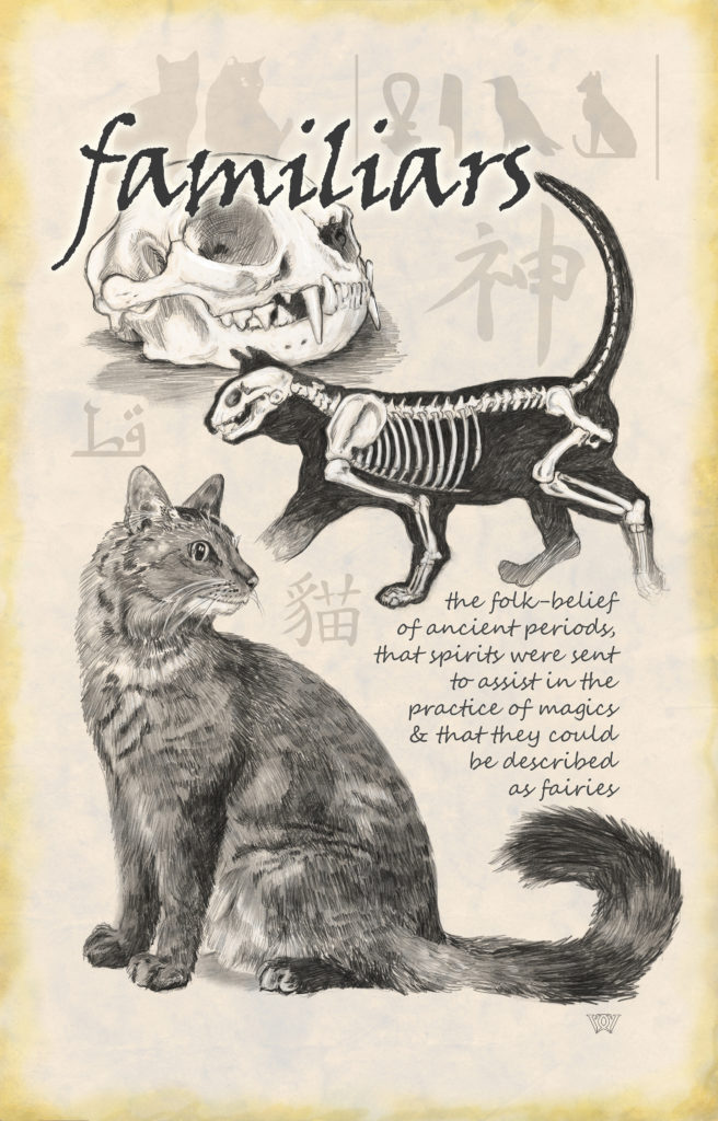 Familiars - the cat as a spirit guide