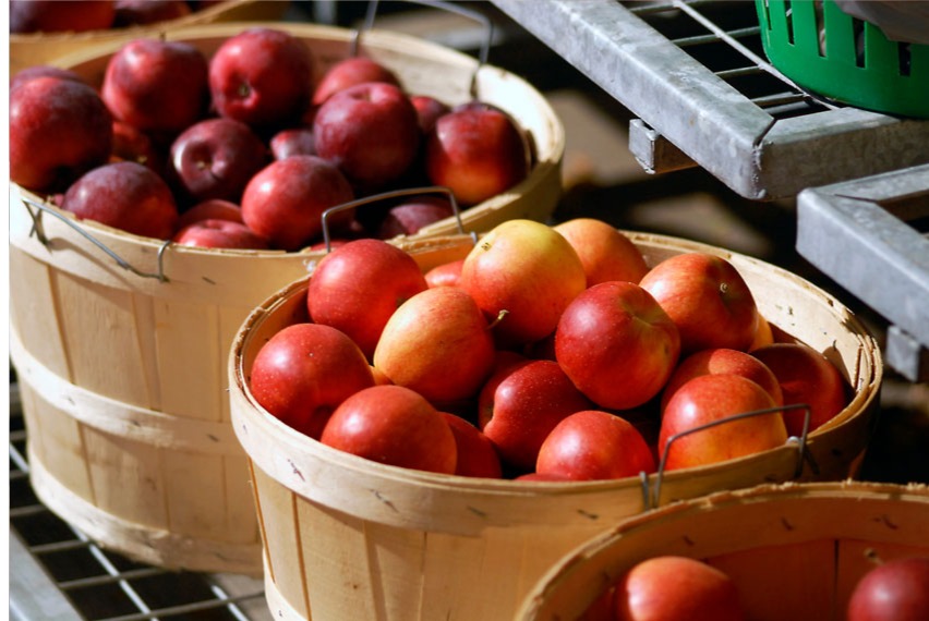 apples at the market