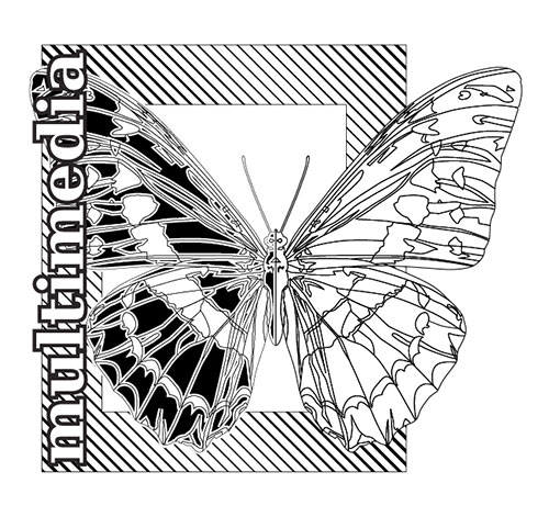 Vector Butterfly black